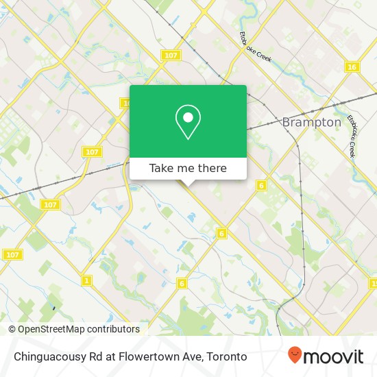 Chinguacousy Rd at Flowertown Ave plan
