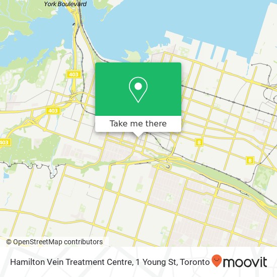 Hamilton Vein Treatment Centre, 1 Young St map
