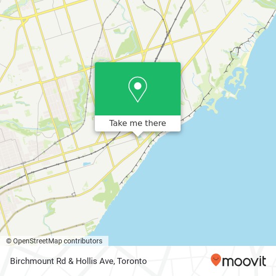 Birchmount Rd & Hollis Ave map