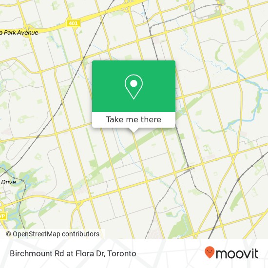 Birchmount Rd at Flora Dr plan