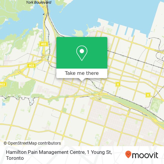 Hamilton Pain Management Centre, 1 Young St map