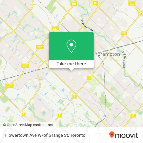 Flowertown Ave W/of Grange St map