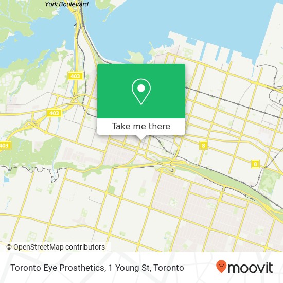 Toronto Eye Prosthetics, 1 Young St map