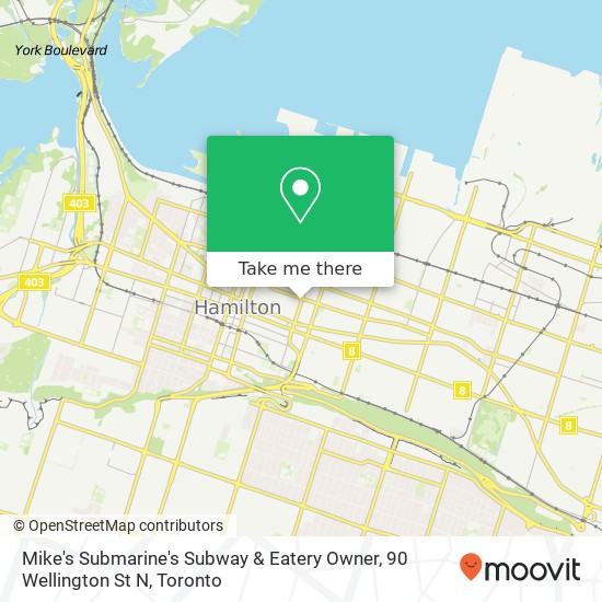 Mike's Submarine's Subway & Eatery Owner, 90 Wellington St N map