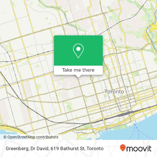 Greenberg, Dr David, 619 Bathurst St plan