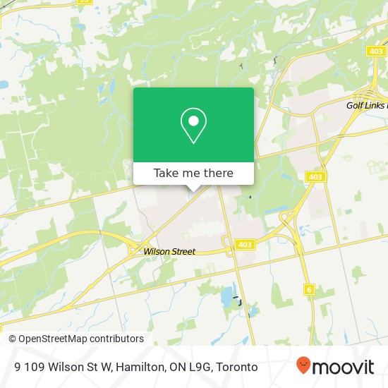 9 109 Wilson St W, Hamilton, ON L9G map