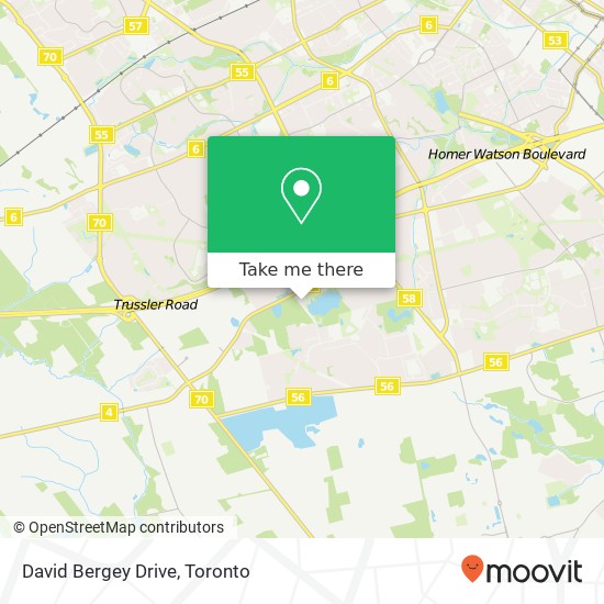 David Bergey Drive map