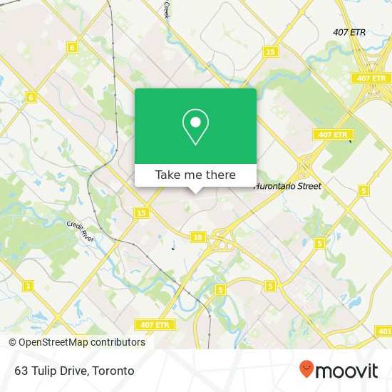 63 Tulip Drive map