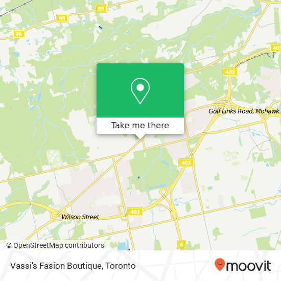 Vassi's Fasion Boutique, 240 Wilson St E Hamilton, ON L9G map