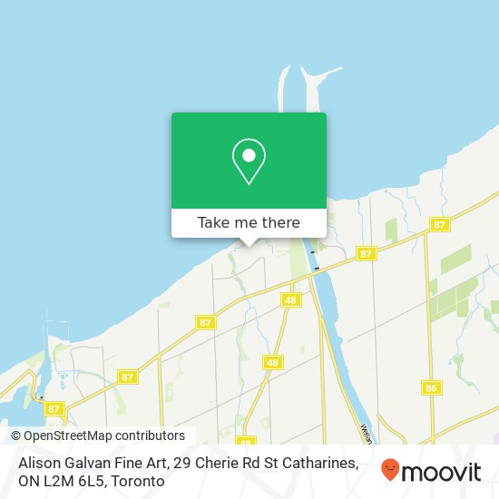 Alison Galvan Fine Art, 29 Cherie Rd St Catharines, ON L2M 6L5 map