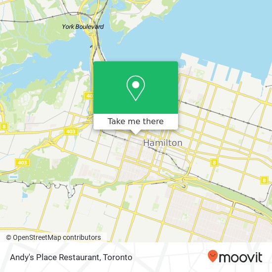 Andy's Place Restaurant, 181 Main St W Hamilton, ON L8P 4S1 map