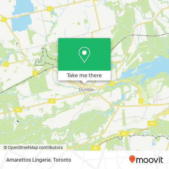 Amarettos Lingerie, 21 King St W Hamilton, ON L9H map