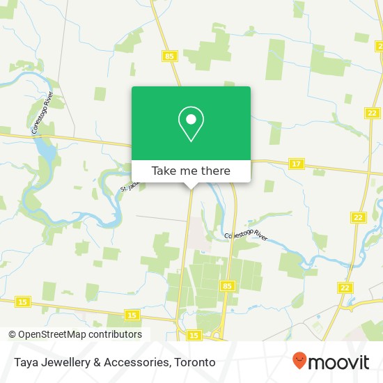 Taya Jewellery & Accessories, 1382 King St N Woolwich, ON N0B map