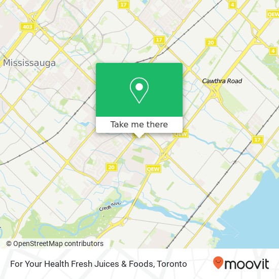 For Your Health Fresh Juices & Foods, 100 Queensway W Mississauga, ON L5B 1B8 map