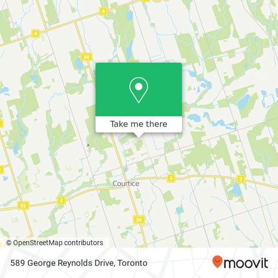 589 George Reynolds Drive map