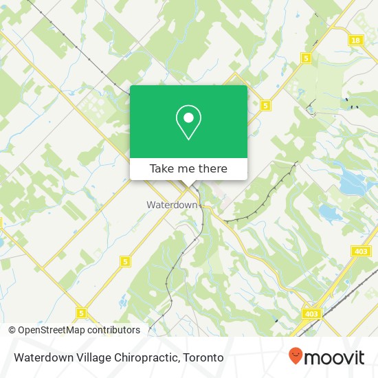 Waterdown Village Chiropractic map