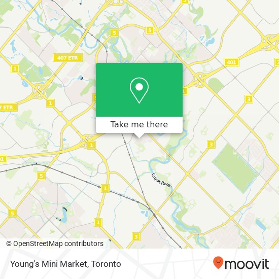 Young's Mini Market map