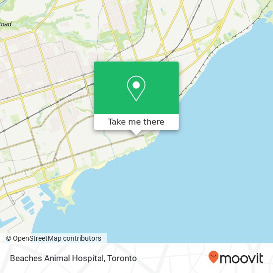 Beaches Animal Hospital map