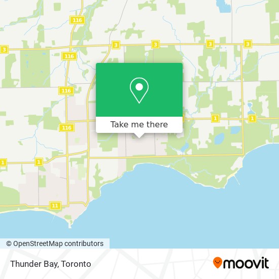 Thunder Bay map