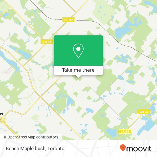 Beach Maple bush map