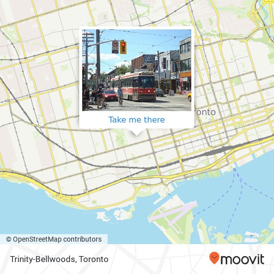 Trinity-Bellwoods map