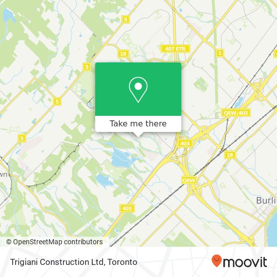 Trigiani Construction Ltd plan