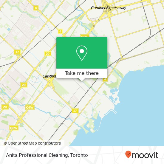 Anita Professional Cleaning map