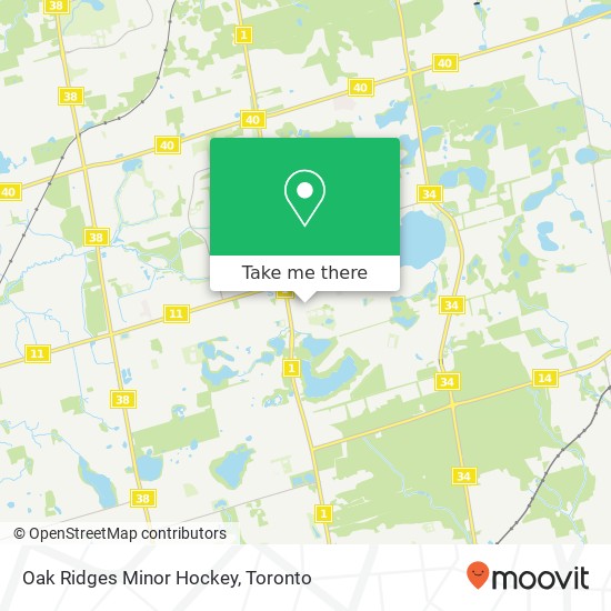 Oak Ridges Minor Hockey plan