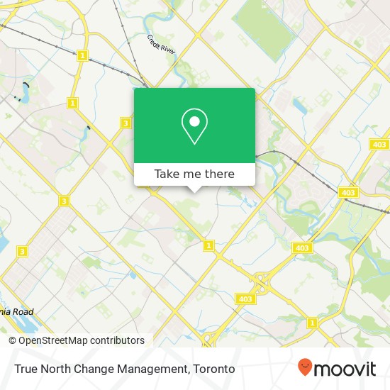 True North Change Management map