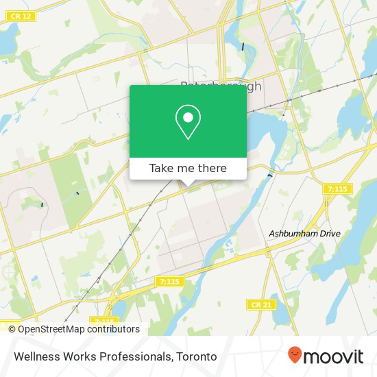 Wellness Works Professionals map