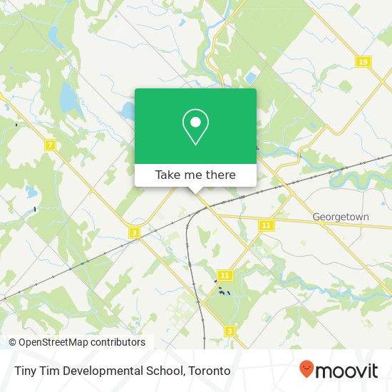 Tiny Tim Developmental School plan