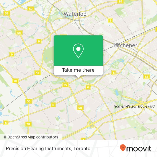 Precision Hearing Instruments plan