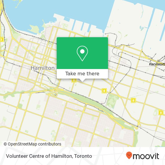 Volunteer Centre of Hamilton plan