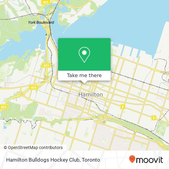 Hamilton Bulldogs Hockey Club plan