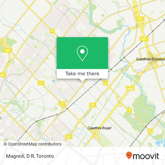Magnoli, D R map