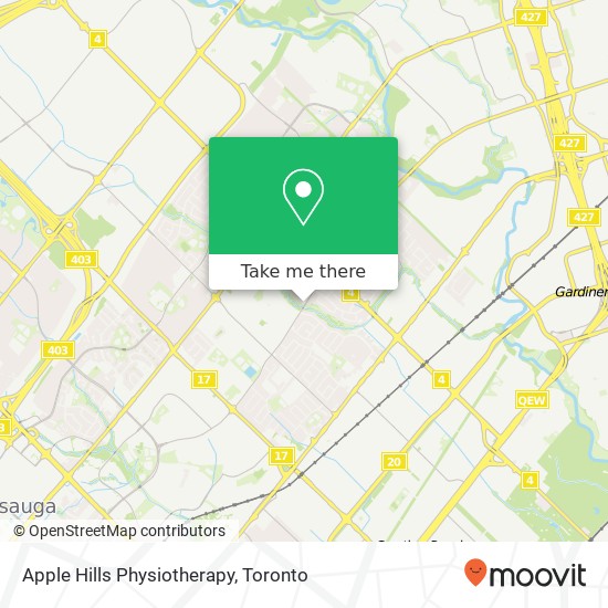 Apple Hills Physiotherapy plan