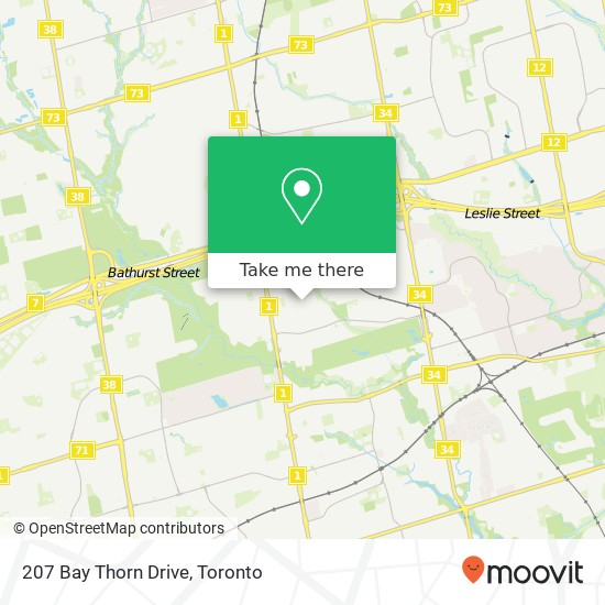207 Bay Thorn Drive map