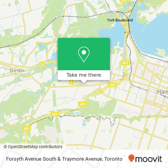 Forsyth Avenue South & Traymore Avenue plan