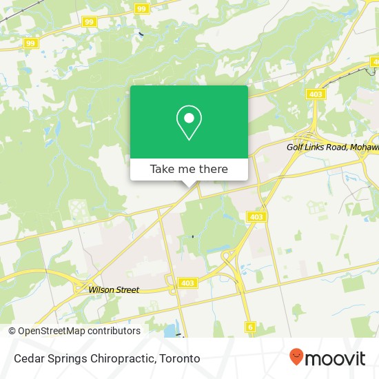 Cedar Springs Chiropractic map