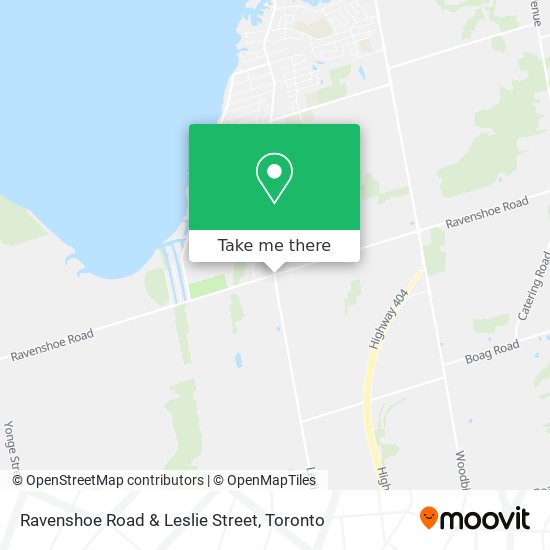Ravenshoe Road & Leslie Street map