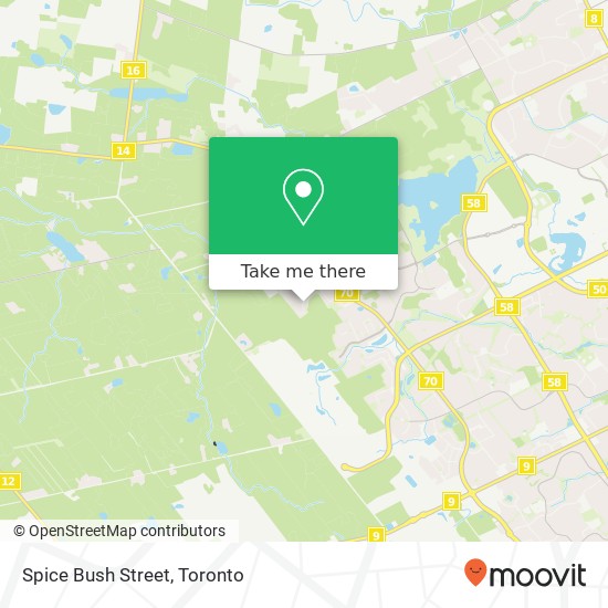 Spice Bush Street map