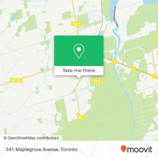 341 Maplegrove Avenue map