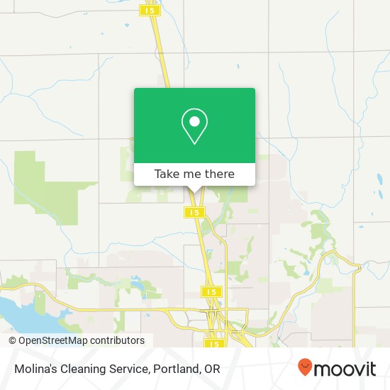 Molina's Cleaning Service map