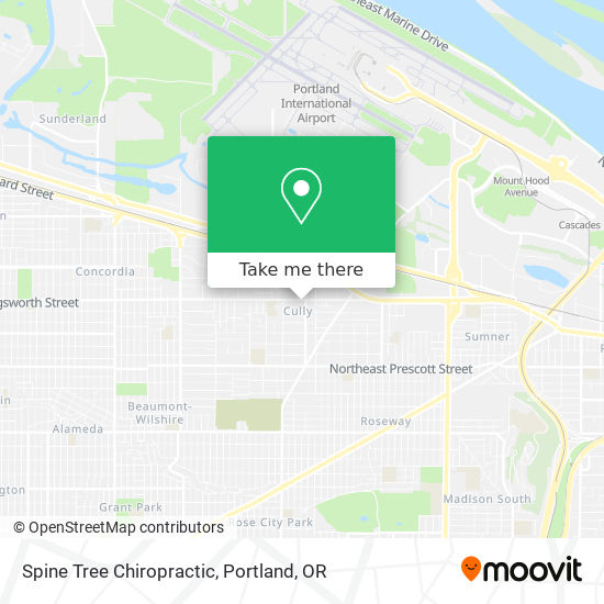 Spine Tree Chiropractic map