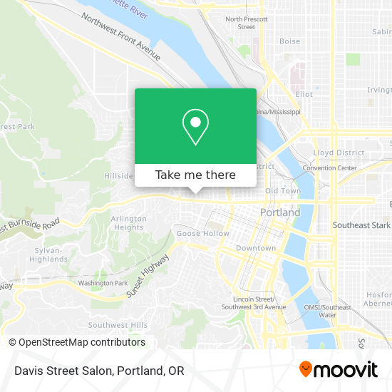 Davis Street Salon map