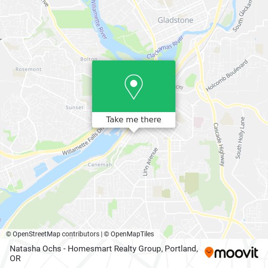 Natasha Ochs - Homesmart Realty Group map