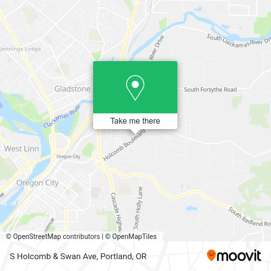 S Holcomb & Swan Ave map