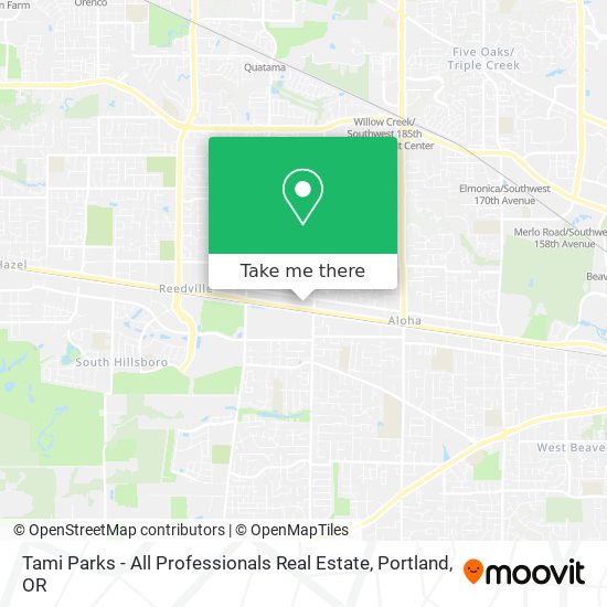 Tami Parks - All Professionals Real Estate map