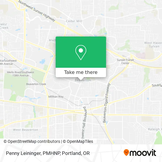 Penny Leininger, PMHNP map