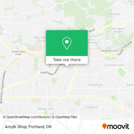 Mapa de Amylk Shop